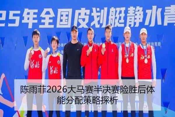 chen-yu-fei-da-ma-sai-ban-jue-sai-xian-sheng-hou-ti-neng-fen-pei-ce-lve-tan-xi-2-200.jpg